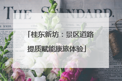 桂东新坊：景区道路提质赋能康旅体验