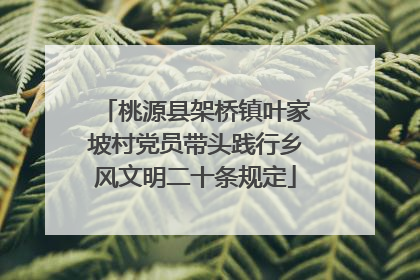 桃源县架桥镇叶家坡村党员带头践行乡风文明二十条规定