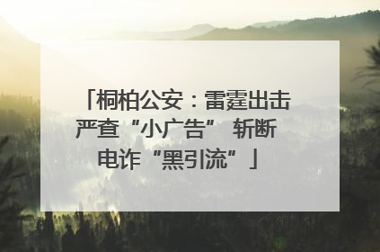 桐柏公安：雷霆出击严查“小广告” 斩断电诈“黑引流”