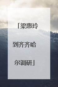 梁惠玲到齐齐哈尔调研