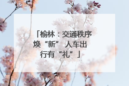 榆林：交通秩序焕“新” 人车出行有“礼”