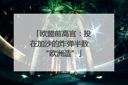 欧盟前高官：投在加沙的炸弹半数“欧洲造”