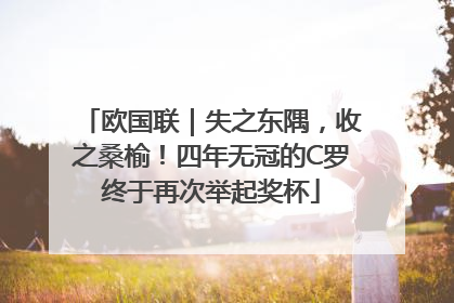 欧国联｜失之东隅，收之桑榆！四年无冠的C罗终于再次举起奖杯
