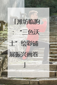 潍坊临朐：“三色沃土”绘彩铺展振兴画卷
