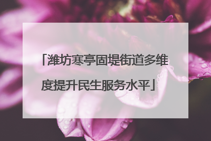 潍坊寒亭固堤街道多维度提升民生服务水平