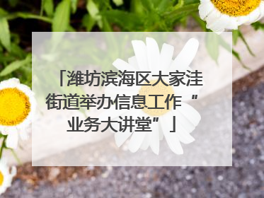 潍坊滨海区大家洼街道举办信息工作“业务大讲堂”