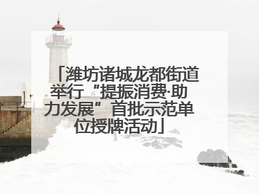 潍坊诸城龙都街道举行“提振消费·助力发展”首批示范单位授牌活动