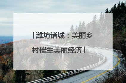 潍坊诸城：美丽乡村催生美丽经济