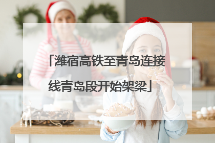 潍宿高铁至青岛连接线青岛段开始架梁