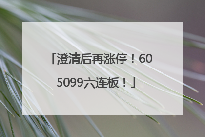 澄清后再涨停！605099六连板！