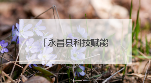 永昌县科技赋能牧草产业 民族团结共绘戈壁“绿富美”新画卷