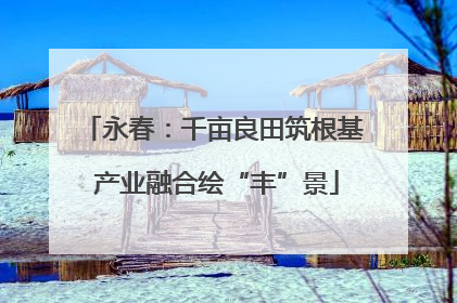 永春：千亩良田筑根基 产业融合绘“丰”景