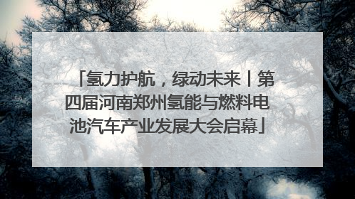 氢力护航，绿动未来丨第四届河南郑州氢能与燃料电池汽车产业发展大会启幕