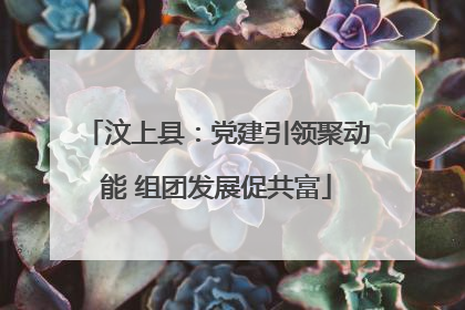 汶上县：党建引领聚动能 组团发展促共富