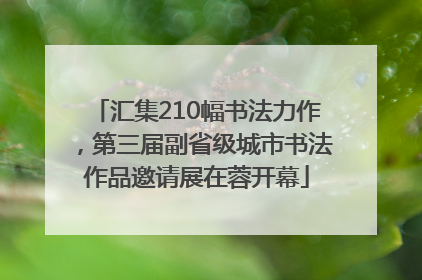 汇集210幅书法力作，第三届副省级城市书法作品邀请展在蓉开幕