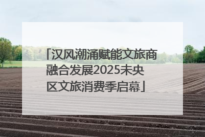 汉风潮涌赋能文旅商融合发展2025未央区文旅消费季启幕