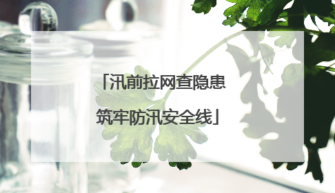 汛前拉网查隐患 筑牢防汛安全线