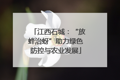 江西石城：“放蜂治蚜”助力绿色防控与农业发展