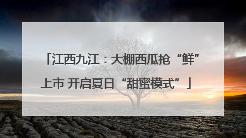江西九江：大棚西瓜抢“鲜”上市 开启夏日“甜蜜模式”