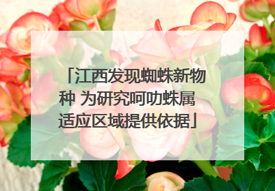 江西发现蜘蛛新物种 为研究呵叻蛛属适应区域提供依据