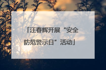 汪春辉开展“安全防范警示日”活动