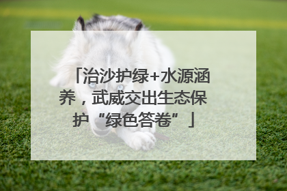 治沙护绿+水源涵养，武威交出生态保护“绿色答卷”