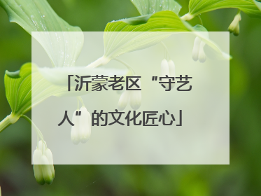 沂蒙老区“守艺人”的文化匠心