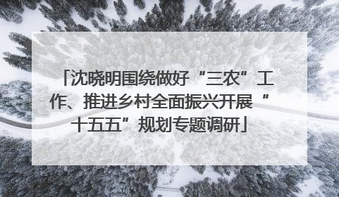 沈晓明围绕做好“三农”工作、推进乡村全面振兴开展“十五五”规划专题调研