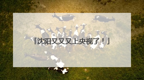 沈阳又又又上央视了！