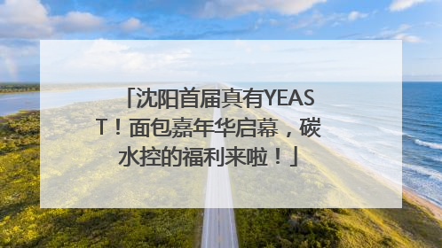 沈阳首届真有YEAST！面包嘉年华启幕，碳水控的福利来啦！