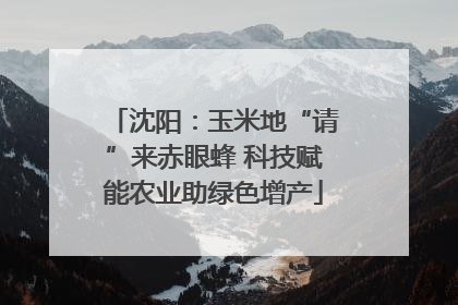 沈阳：玉米地“请”来赤眼蜂 科技赋能农业助绿色增产