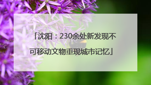 沈阳：230余处新发现不可移动文物重现城市记忆