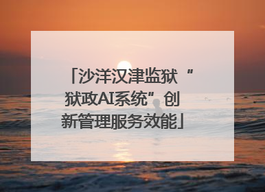 沙洋汉津监狱“狱政AI系统”创新管理服务效能