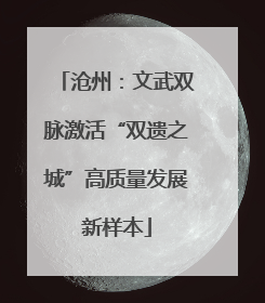 沧州：文武双脉激活“双遗之城”高质量发展新样本