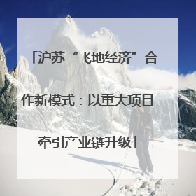 沪苏“飞地经济”合作新模式：以重大项目牵引产业链升级