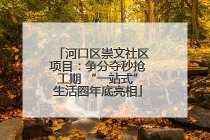 河口区崇文社区项目：争分夺秒抢工期 “一站式”生活圈年底亮相