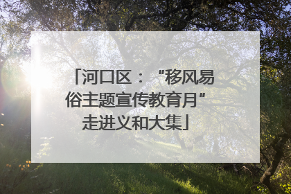 河口区：“移风易俗主题宣传教育月”走进义和大集