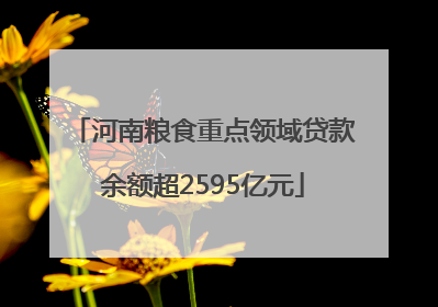 河南粮食重点领域贷款余额超2595亿元