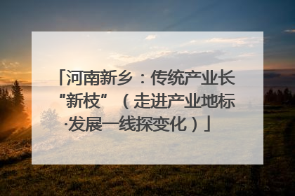 河南新乡：传统产业长“新枝”（走进产业地标·发展一线探变化）