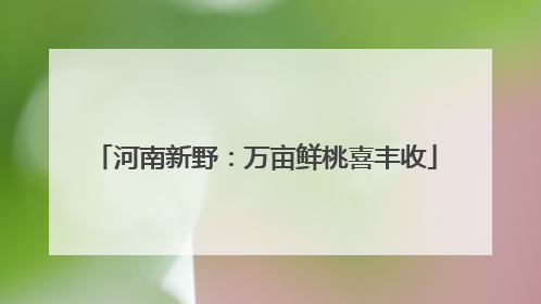 河南新野：万亩鲜桃喜丰收