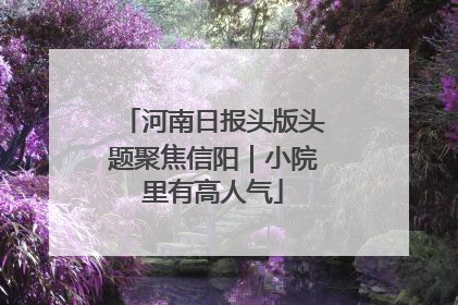 河南日报头版头题聚焦信阳｜小院里有高人气