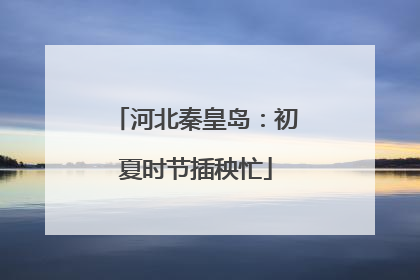 河北秦皇岛：初夏时节插秧忙