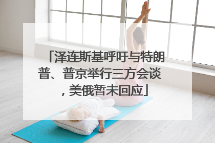 泽连斯基呼吁与特朗普、普京举行三方会谈，美俄暂未回应