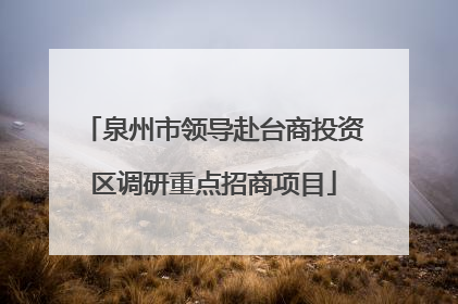 泉州市领导赴台商投资区调研重点招商项目