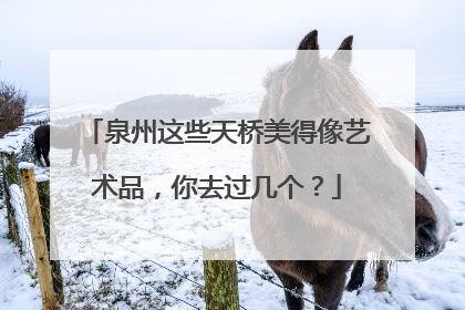 泉州这些天桥美得像艺术品，你去过几个？