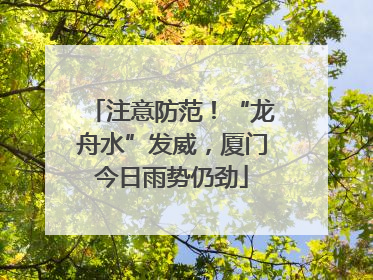 注意防范！“龙舟水”发威，厦门今日雨势仍劲