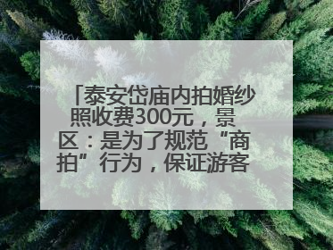 泰安岱庙内拍婚纱照收费300元，景区：是为了规范“商拍”行为，保证游客体验，收取费用全部上交国库