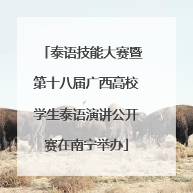 泰语技能大赛暨第十八届广西高校学生泰语演讲公开赛在南宁举办