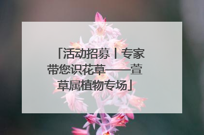 活动招募丨专家带您识花草——萱草属植物专场