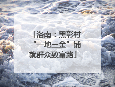 洛南：黑彰村“一地三金”铺就群众致富路